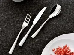 Coltello Frutta Sintesi