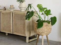 Credenza Rexter