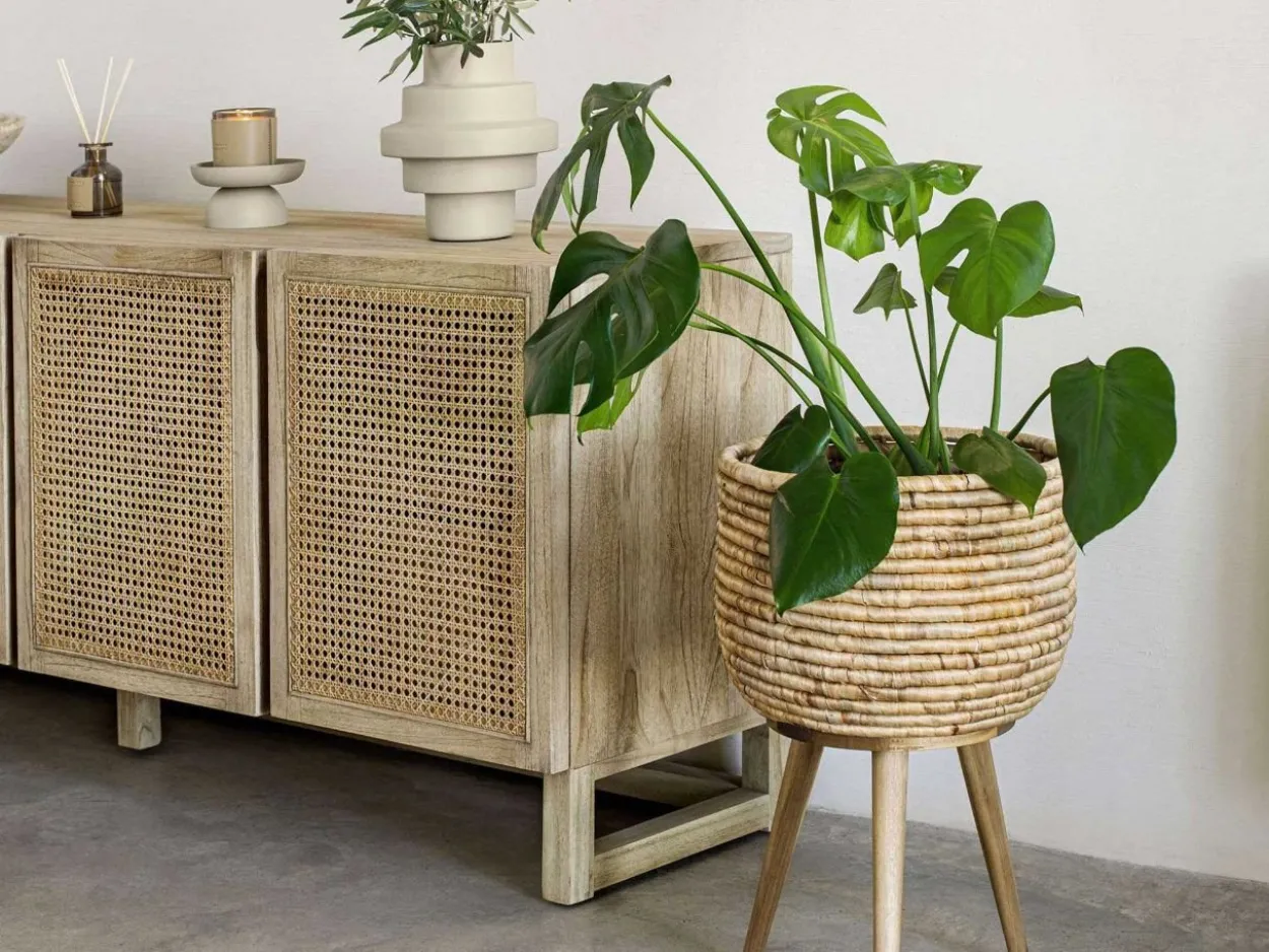 Credenza Rexter