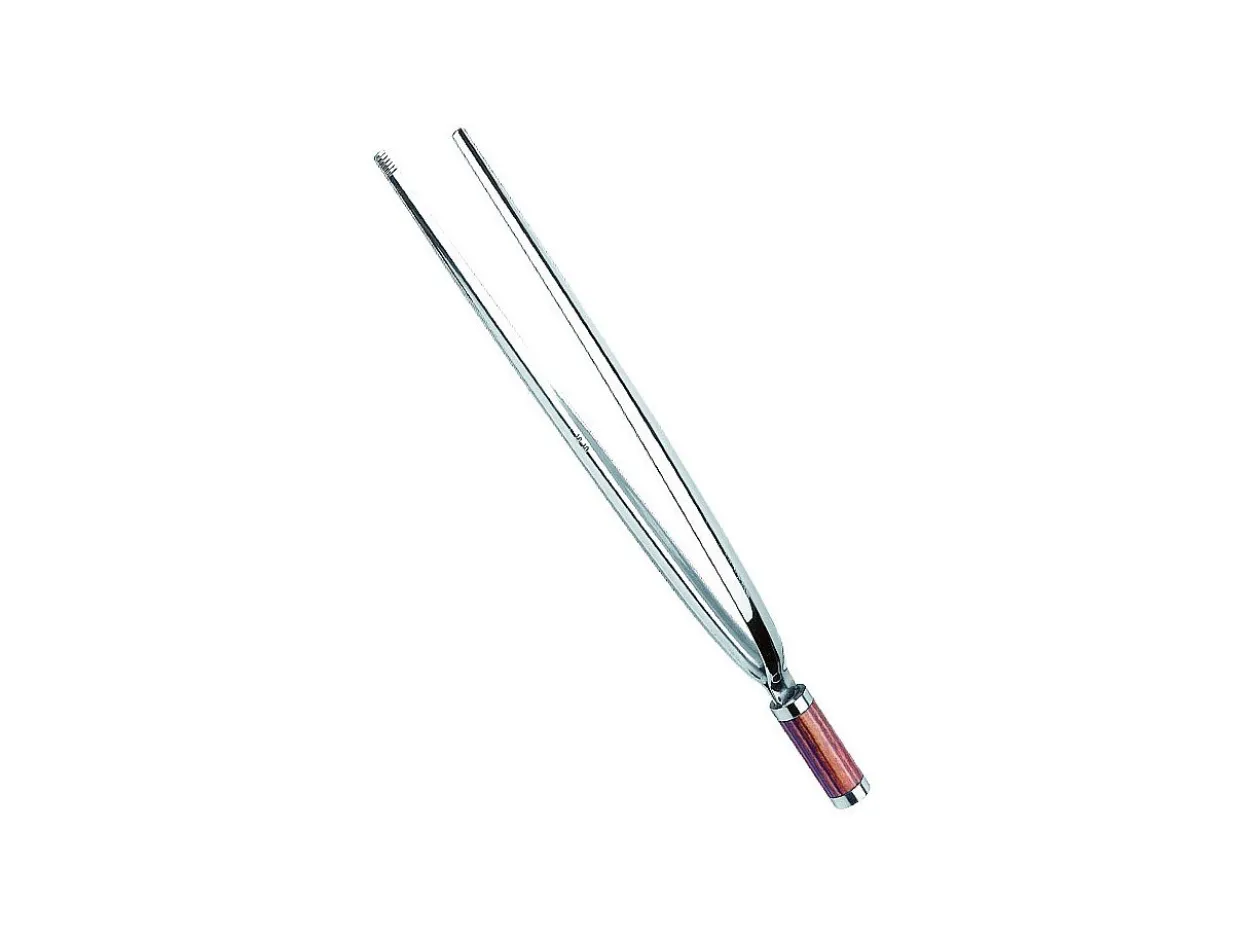 Pinza frittura