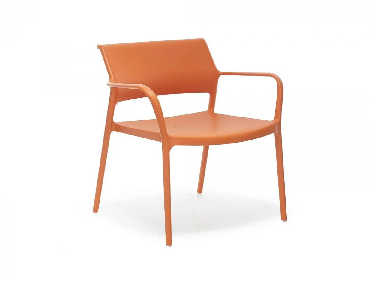 Poltrona Ara Lounge 316