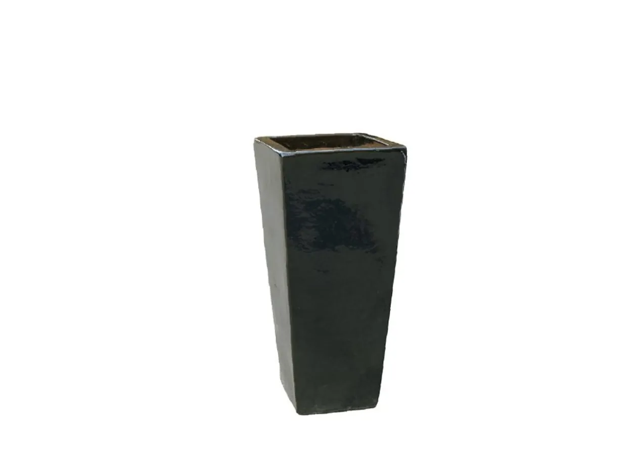 Vaso Celio