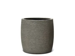 Vaso Chia