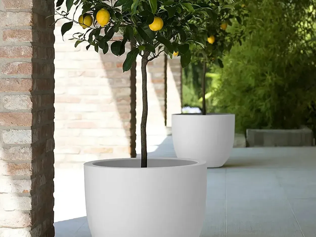 Vaso Etria 74