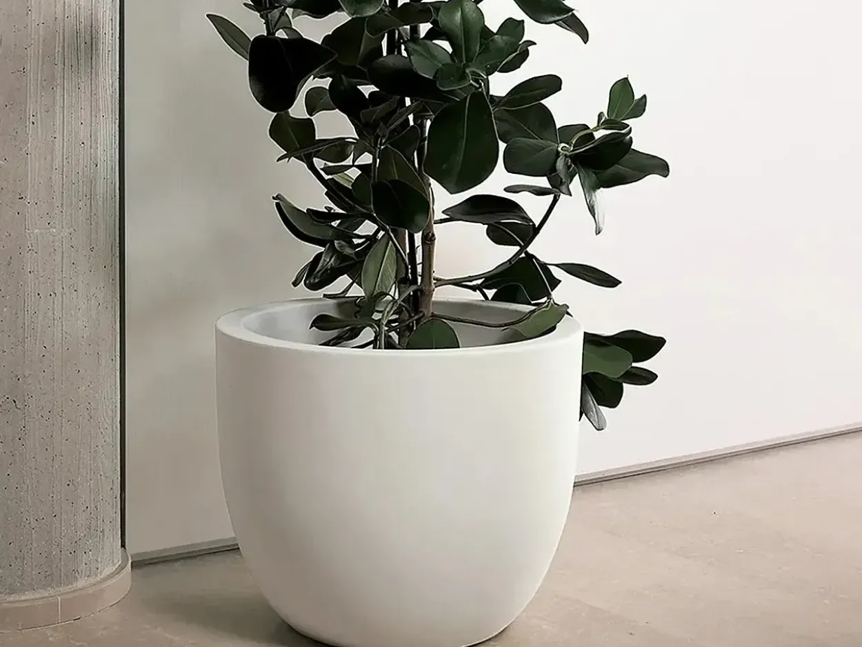 Vaso Etria 74