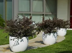 Vaso Etria 34