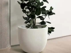 Vaso Etria 34