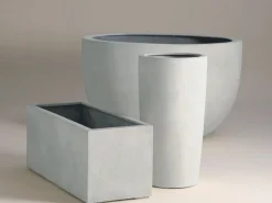 Vaso Greenwich