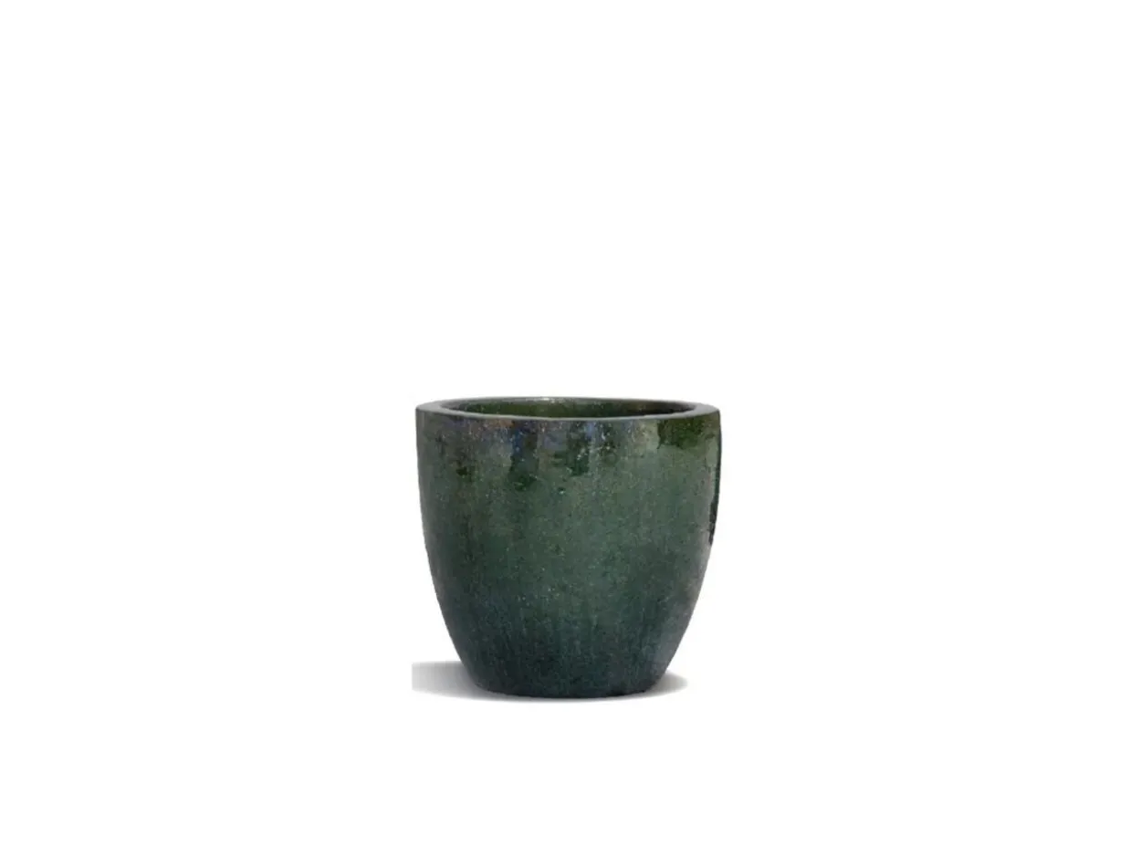 Vaso Moster