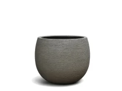 Vaso Orosei